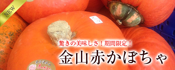 驚きの美味しさ！金山赤かぼちゃ 2024年産受付終了 - ふくしまのオイシイ！をお届けする【えがお福島】新鮮野菜と季節のフルーツ＆特産品の通販サイト