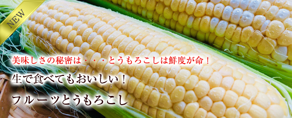 À¸¤Ç¿©¤Ù¤Æ¤â¤ª¤¤¤·¤¤¡ª¥Õ¥ë¡¼¥Ä¤È¤¦¤â¤í¤³¤·