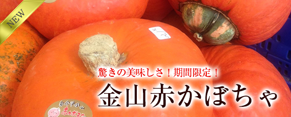 驚きの美味しさ！金山赤かぼちゃ」