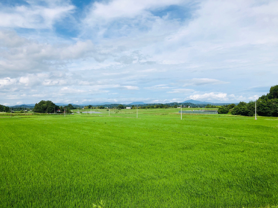 福島県中通り、100年以上続く米生産農家からお届けします